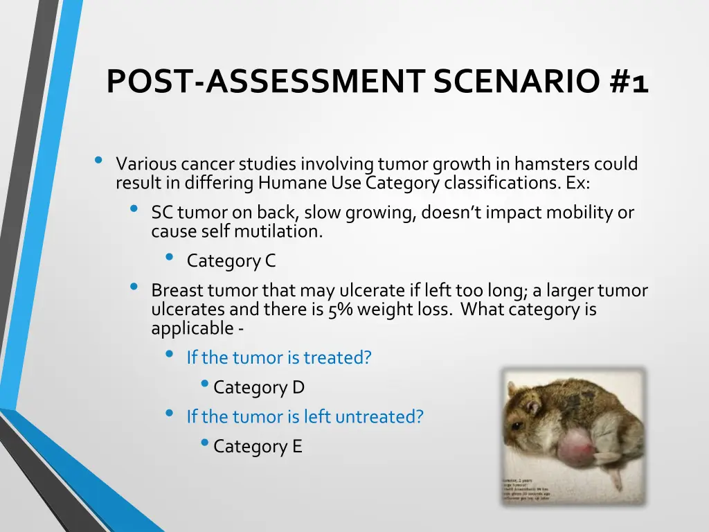 post assessment scenario 1