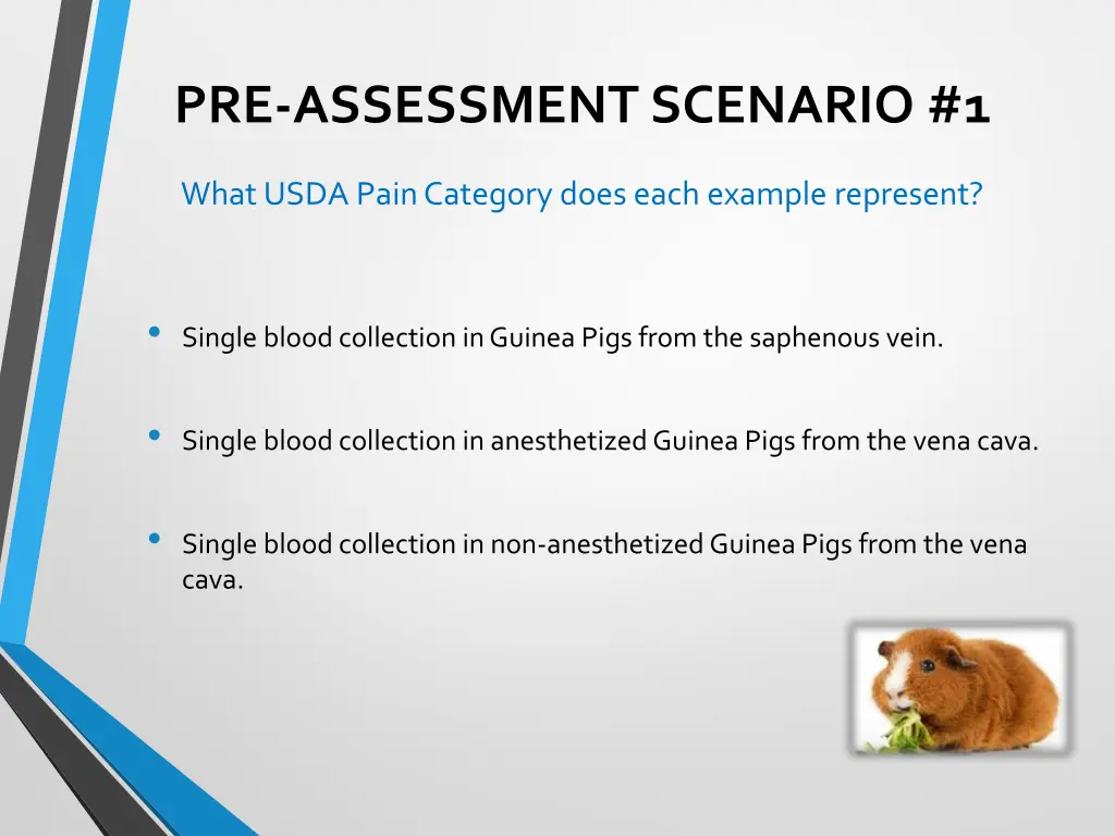 pre assessment scenario 1