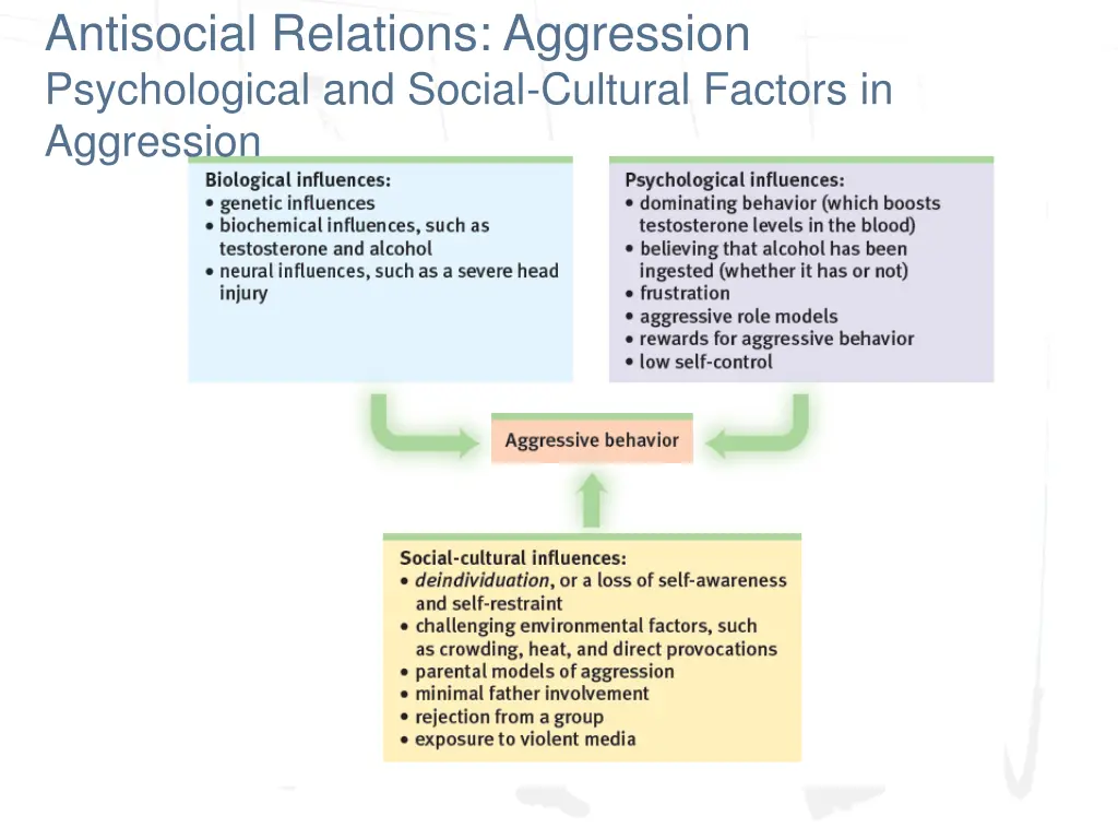 antisocial relations aggression psychological 4