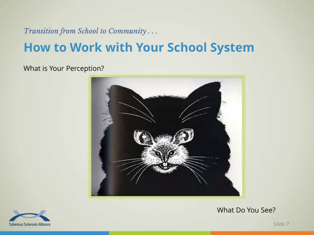 transition from school to community how to work