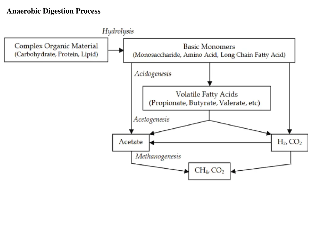 anaerobic digestion process