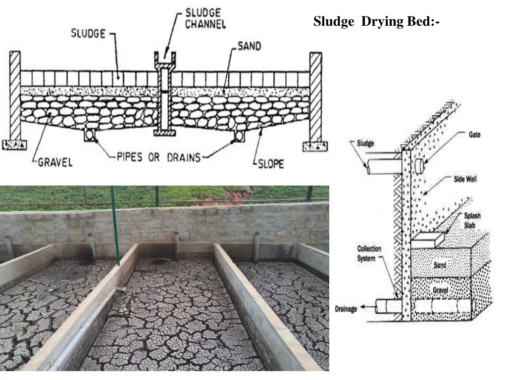 sludge drying bed 1