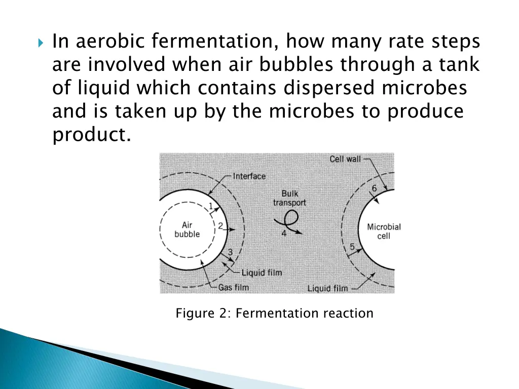 in aerobic fermentation how many rate steps