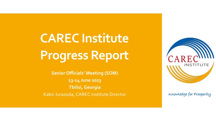 carec institute progress report