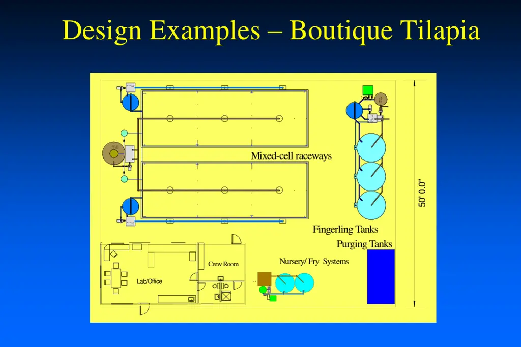 design examples boutique tilapia