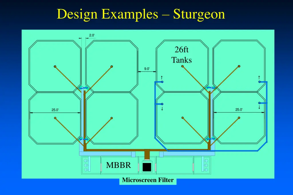 design examples sturgeon