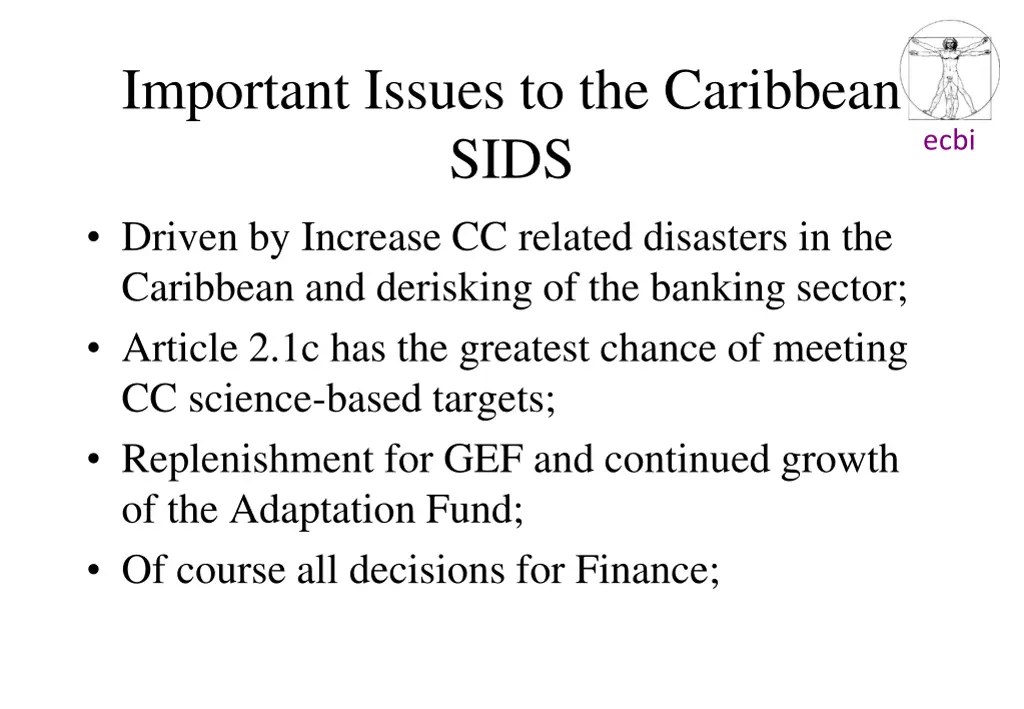 important issues to the caribbean sids