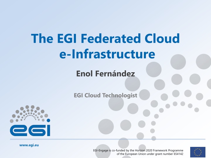 the egi federated cloud e infrastructure