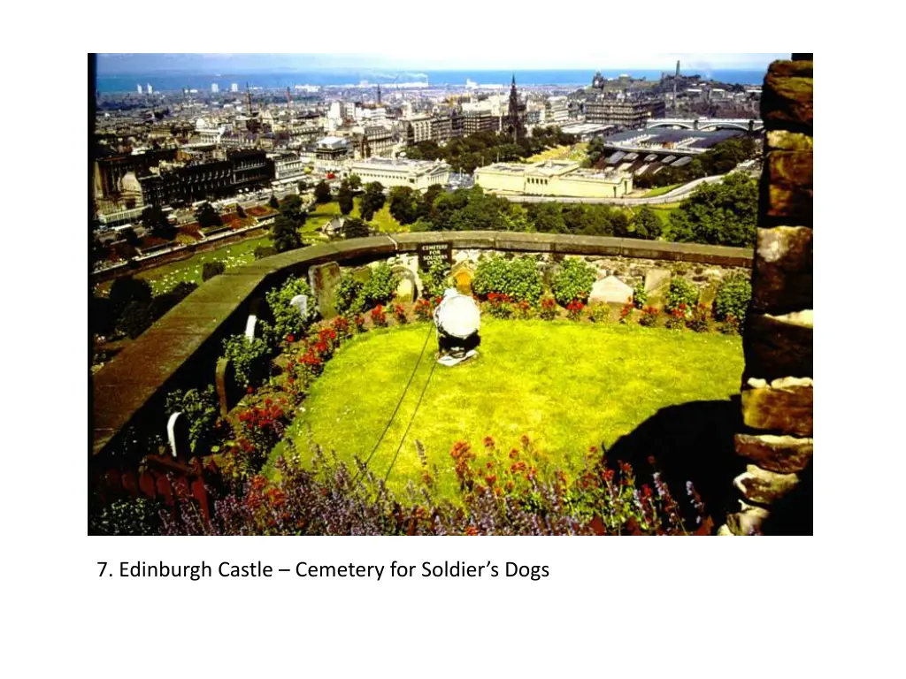 7 edinburgh castle cemetery for soldier s dogs