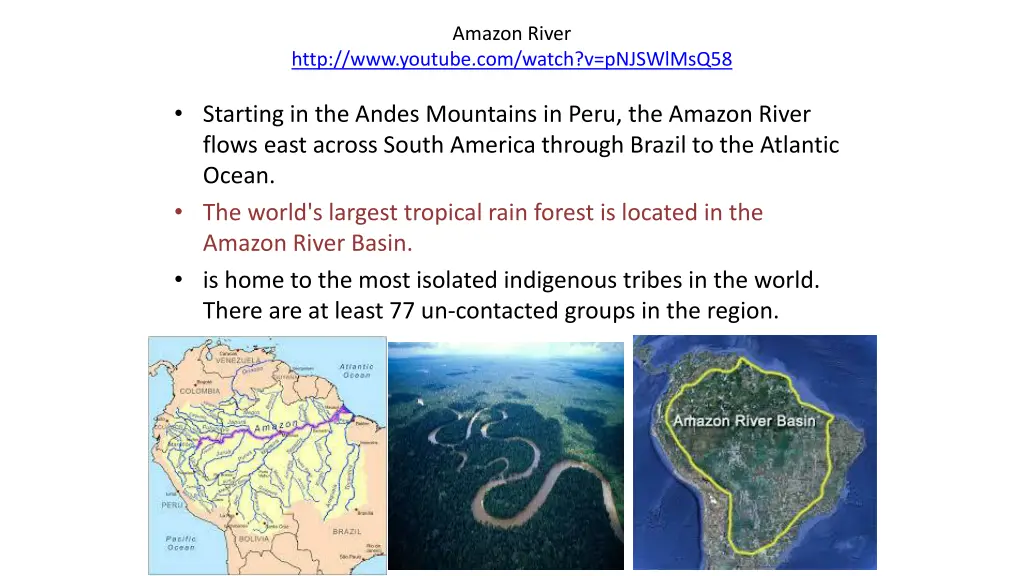 amazon river 1