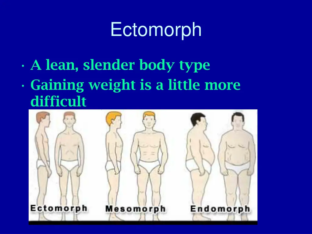 ectomorph