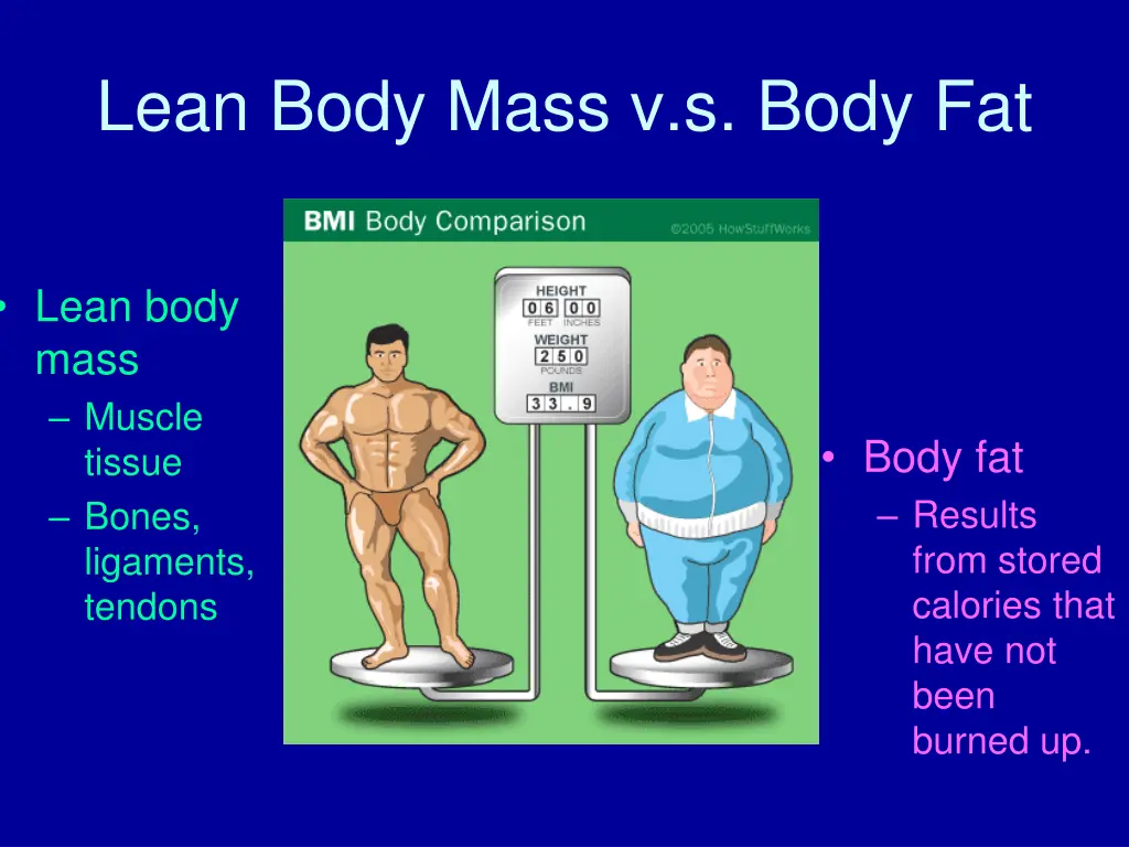 lean body mass v s body fat