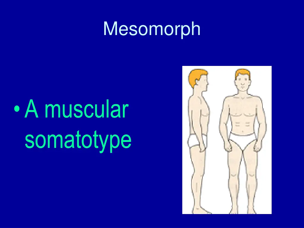 mesomorph