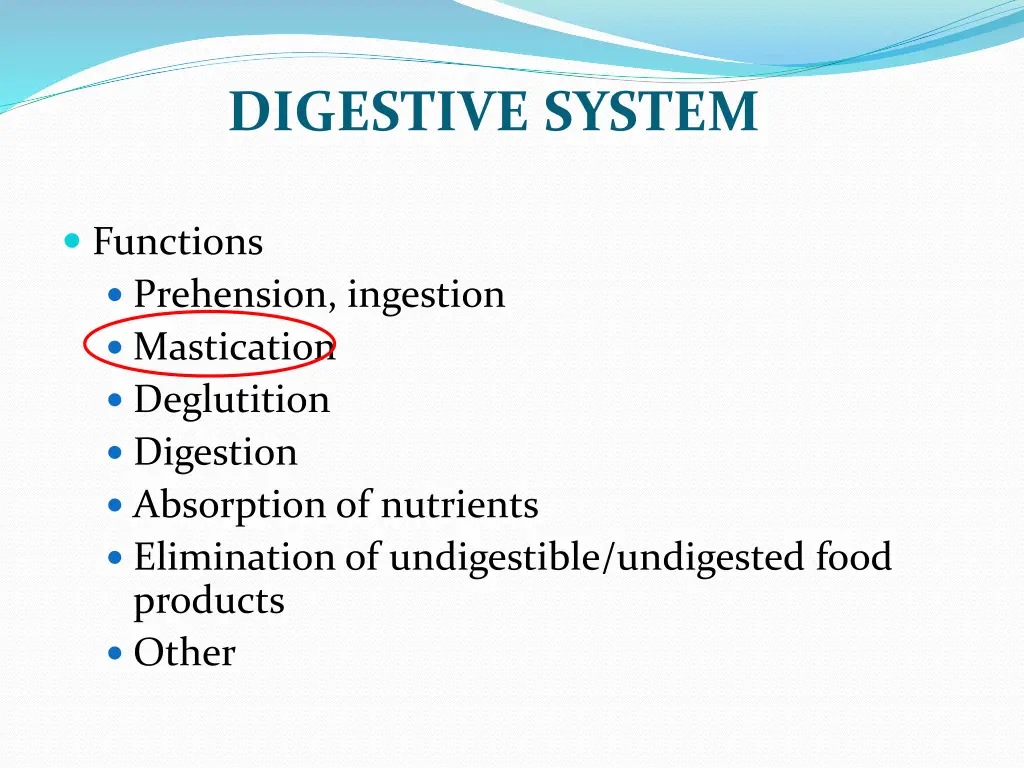 digestive system