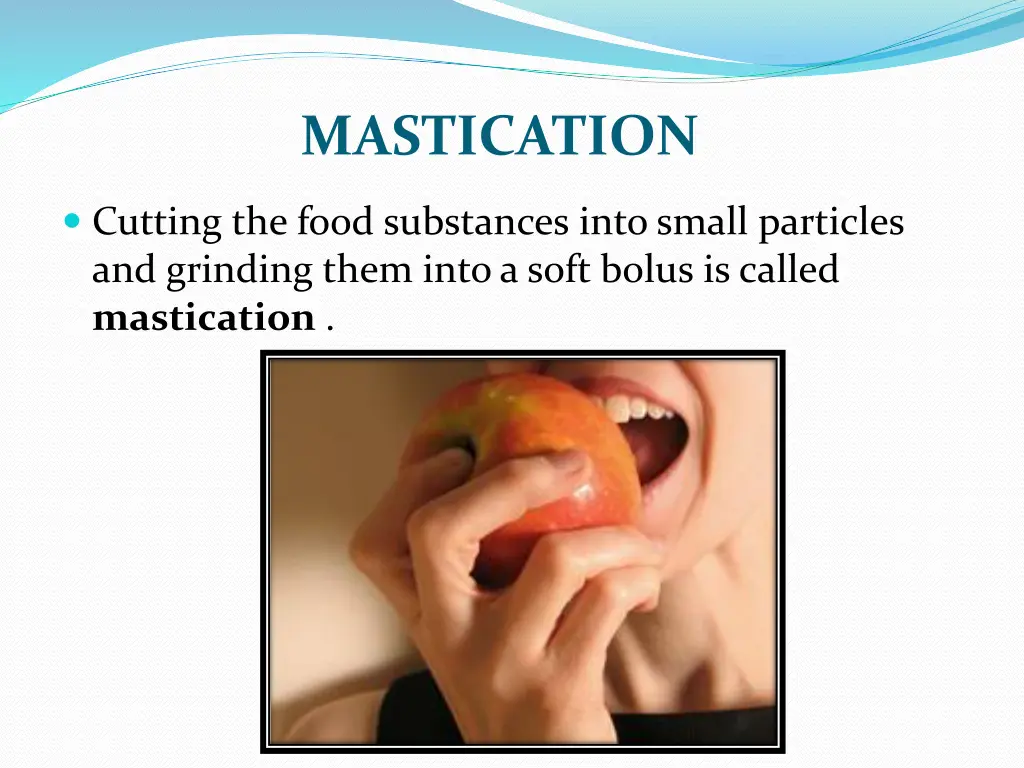 mastication