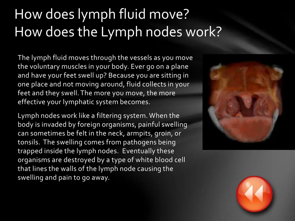 how does lymph fluid move how does the lymph