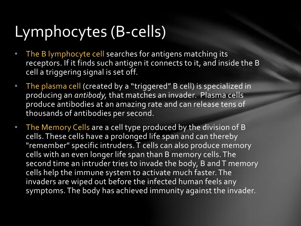 lymphocytes b cells