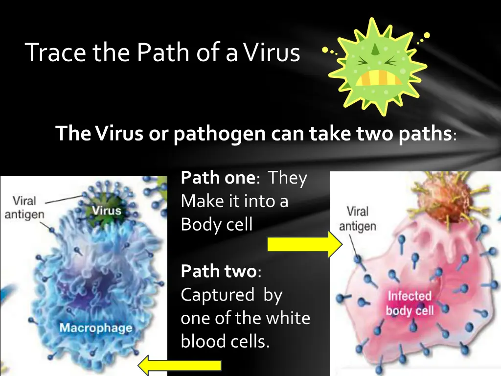 trace the path of a virus