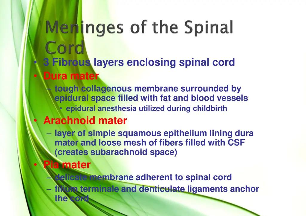 3 fibrous layers enclosing spinal cord dura mater