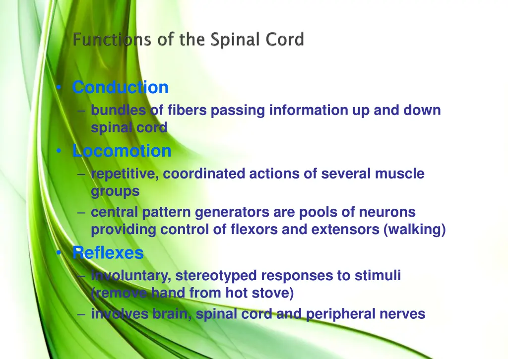 conduction bundles of fibers passing information