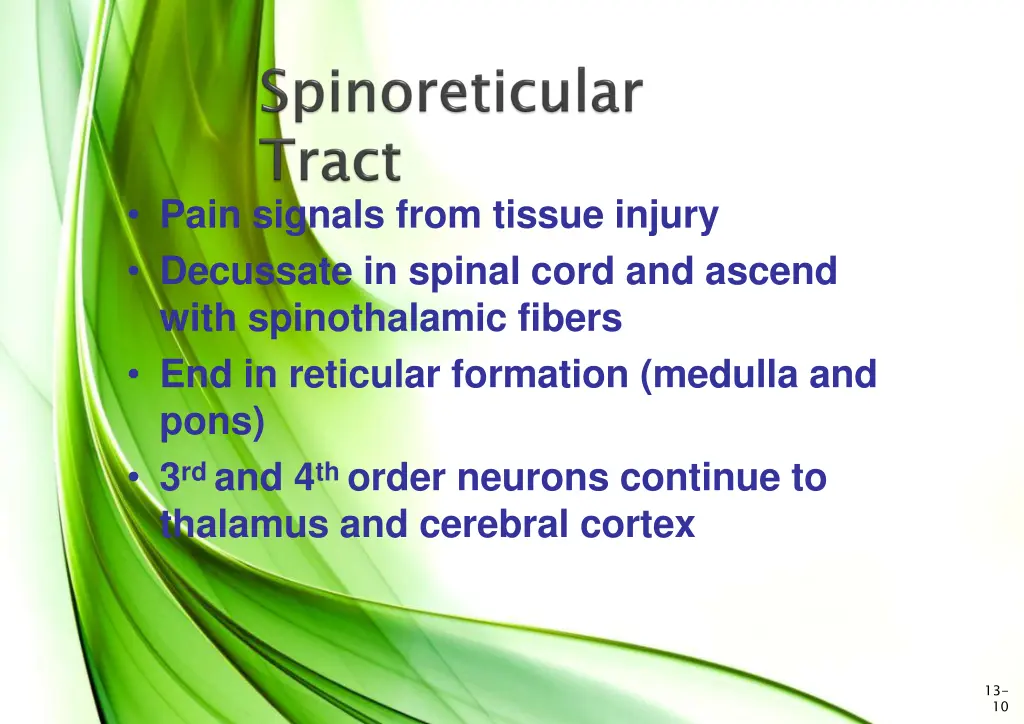 pain signals from tissue injury decussate