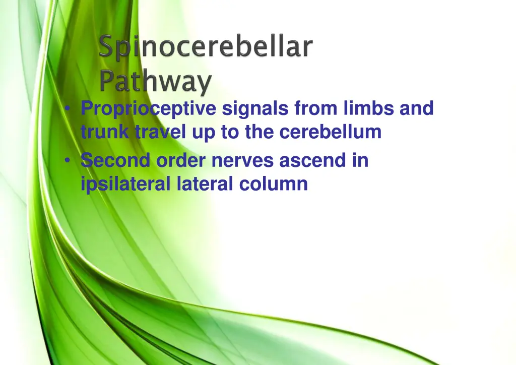 proprioceptive signals from limbs and trunk