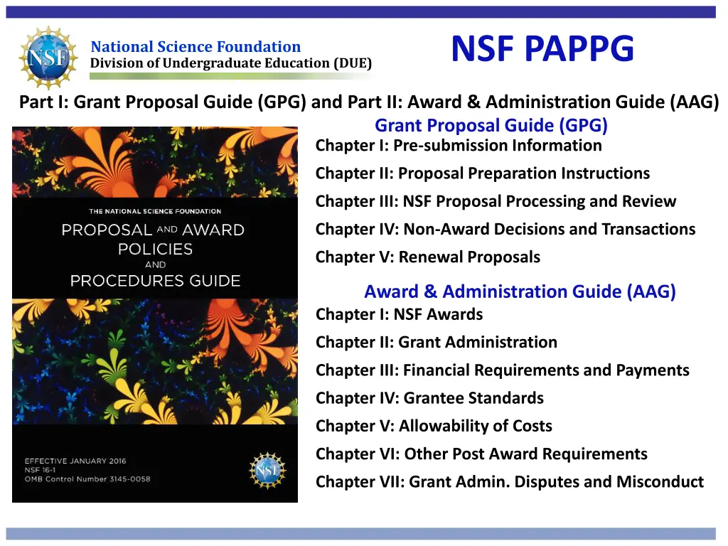 nsf pappg