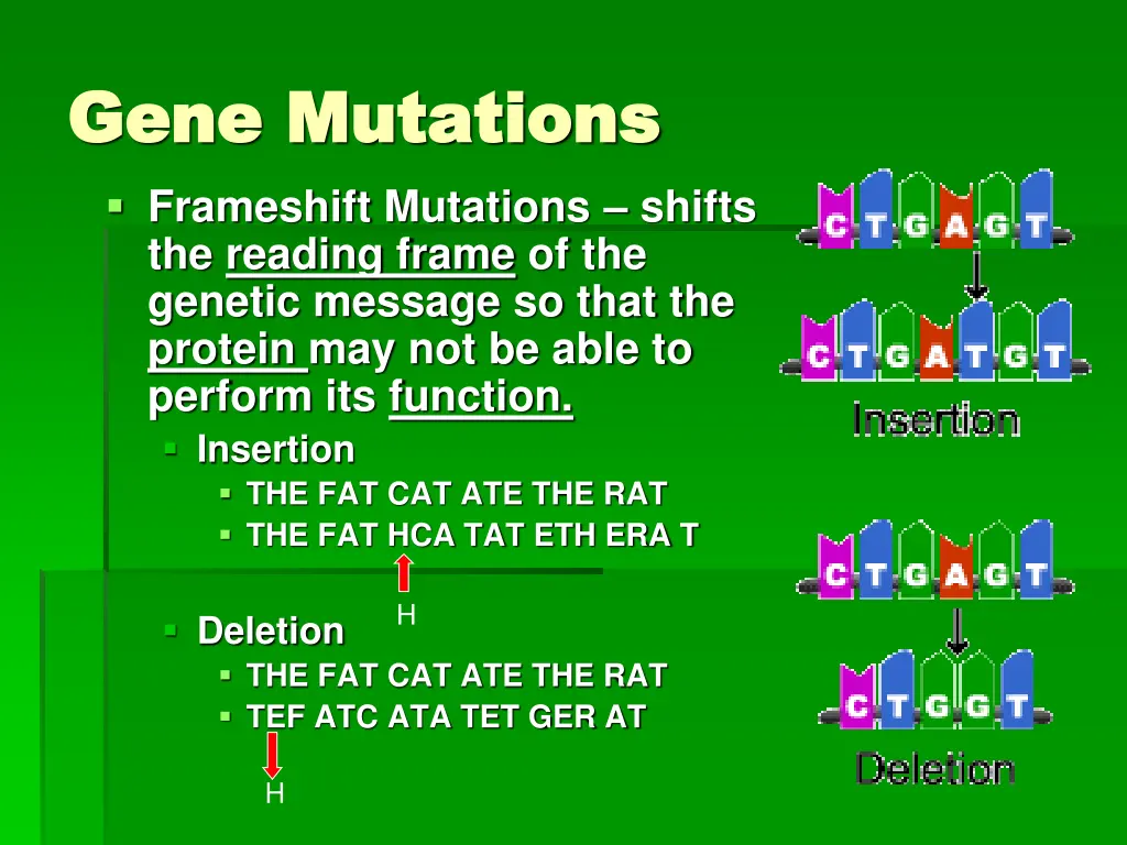 gene mutations gene mutations frameshift