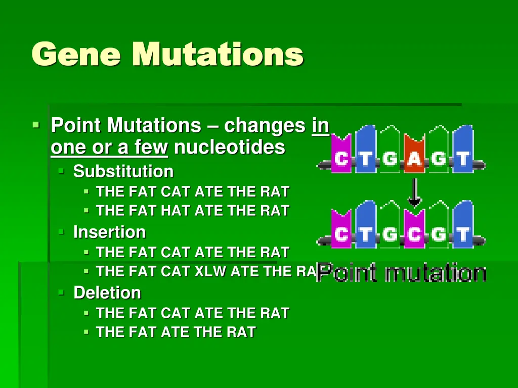 gene mutations gene mutations