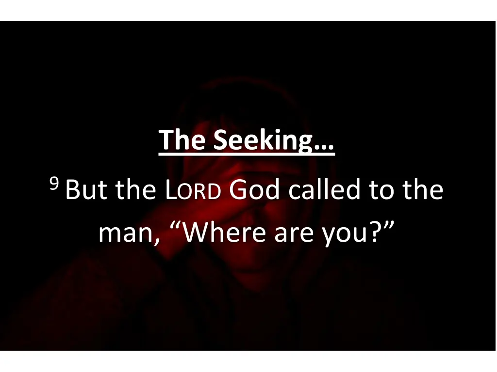 the seeking