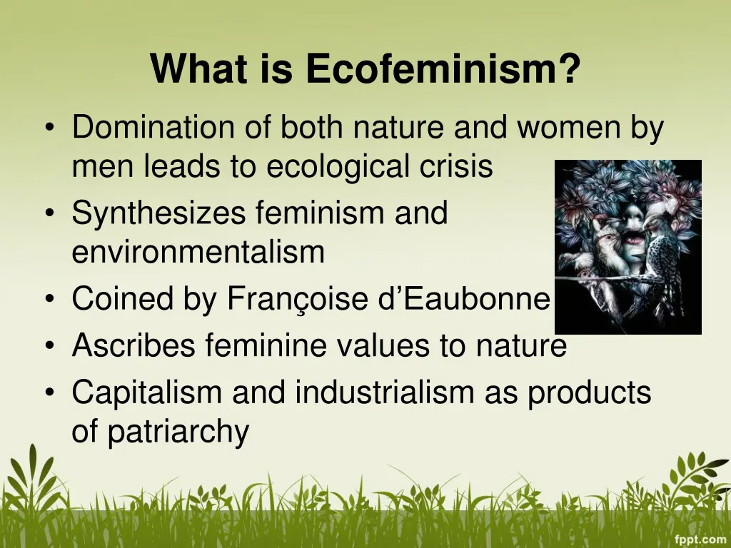 what is ecofeminism domination of both nature