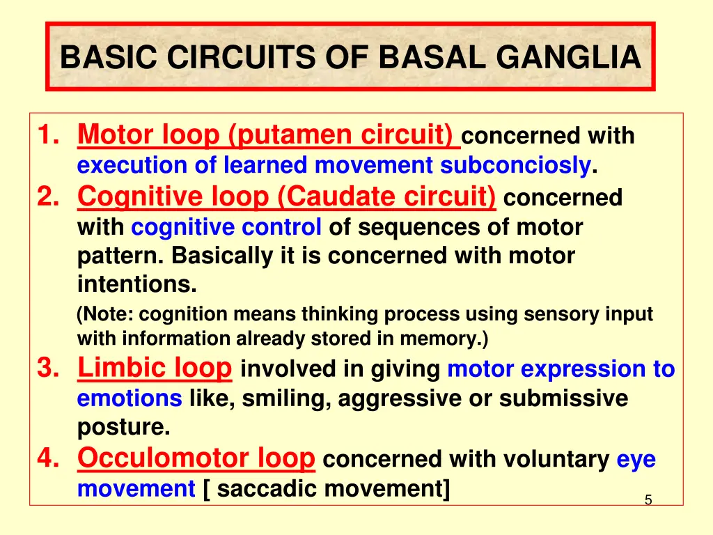 basic circuits of basal ganglia