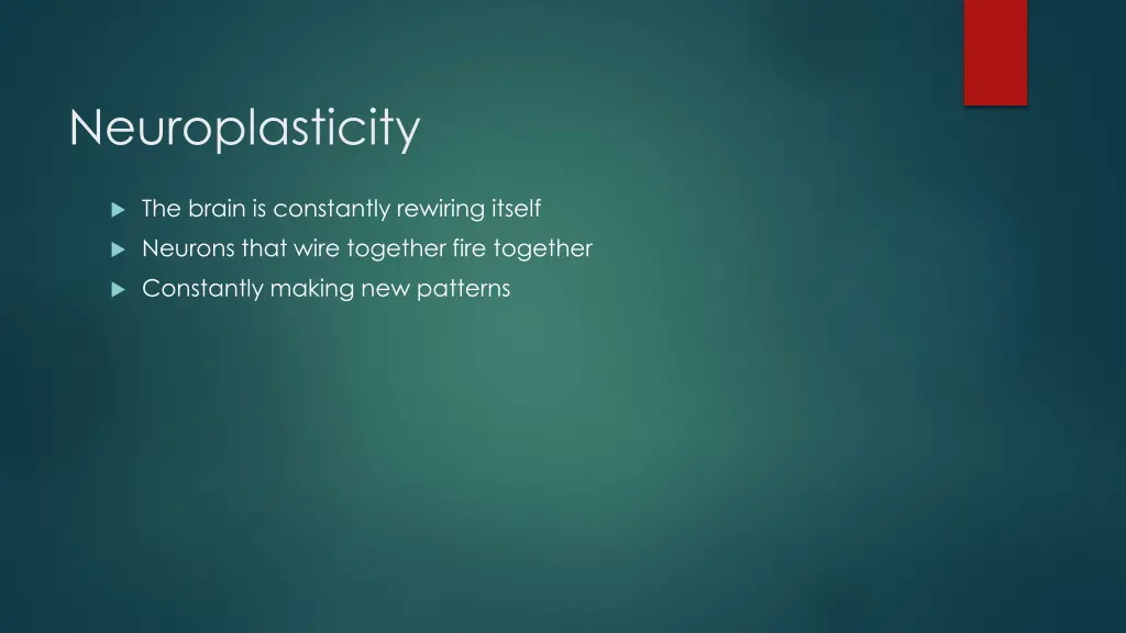 neuroplasticity