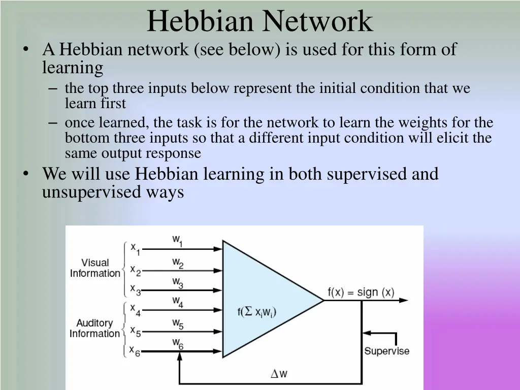 hebbian network