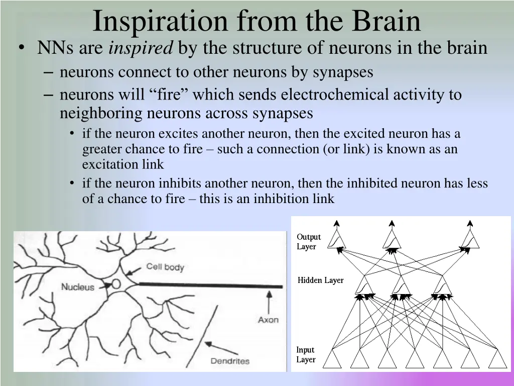 inspiration from the brain nns are inspired