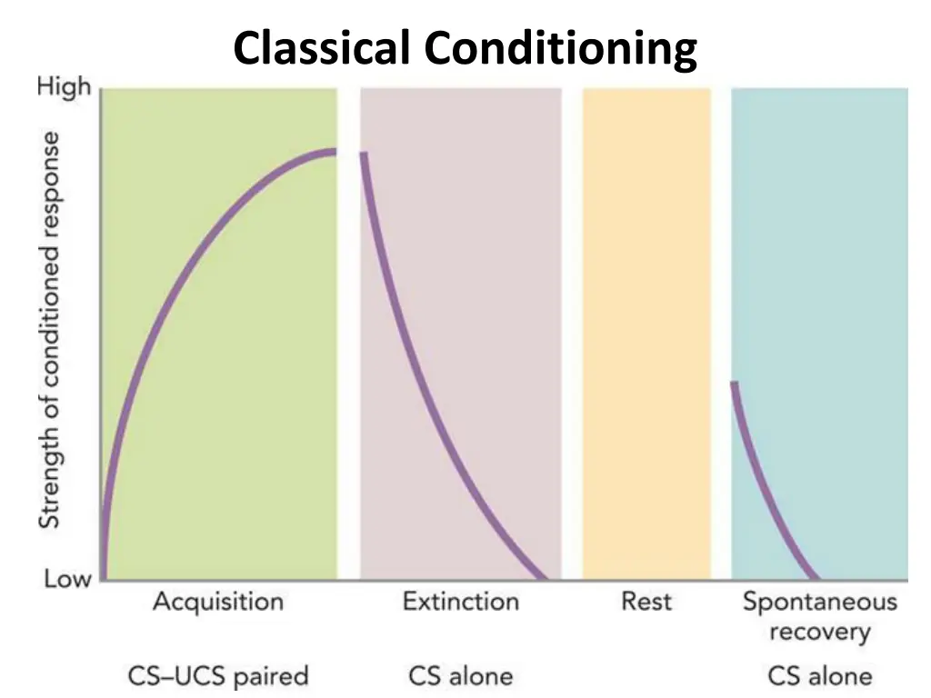 classical conditioning 2