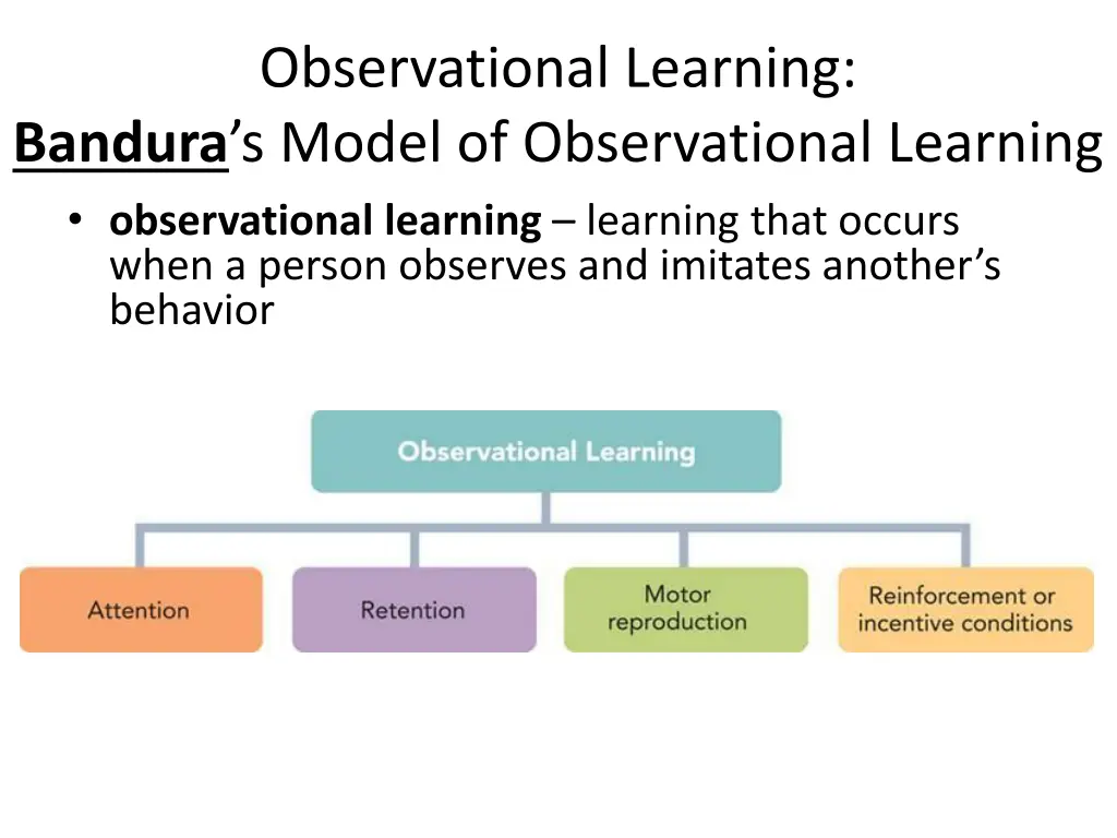 observational learning bandura s model