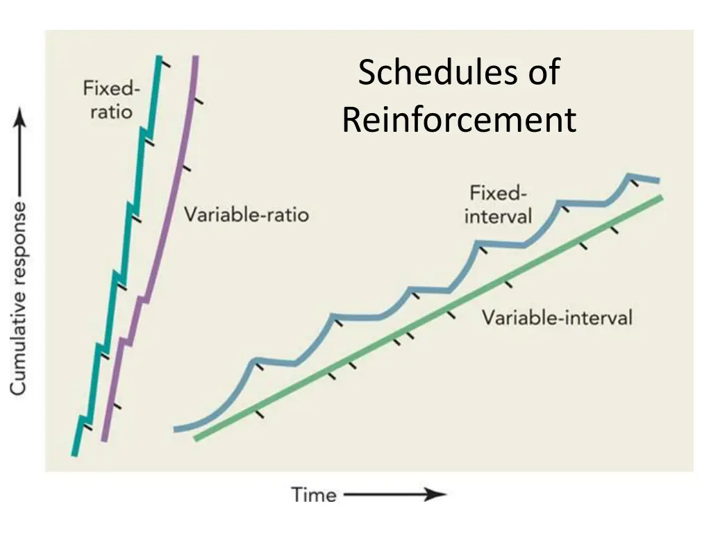 schedules of reinforcement 2