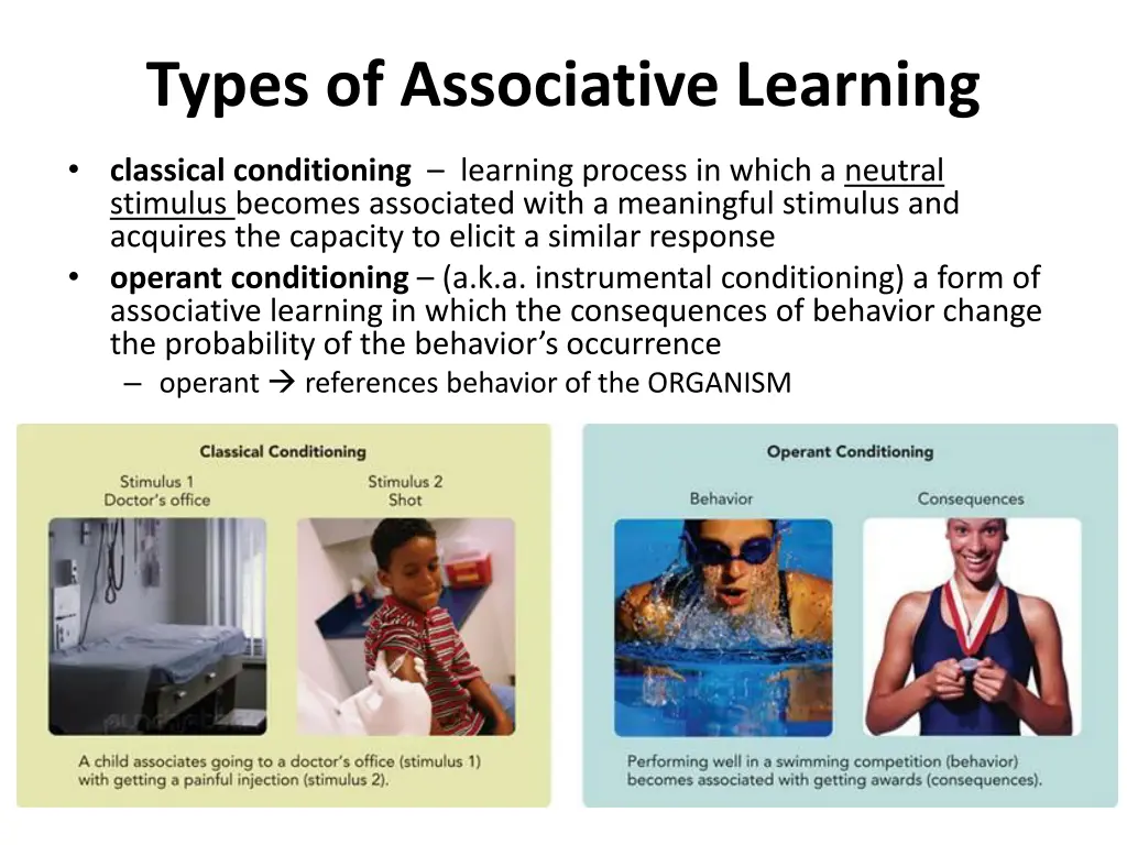 types of associative learning