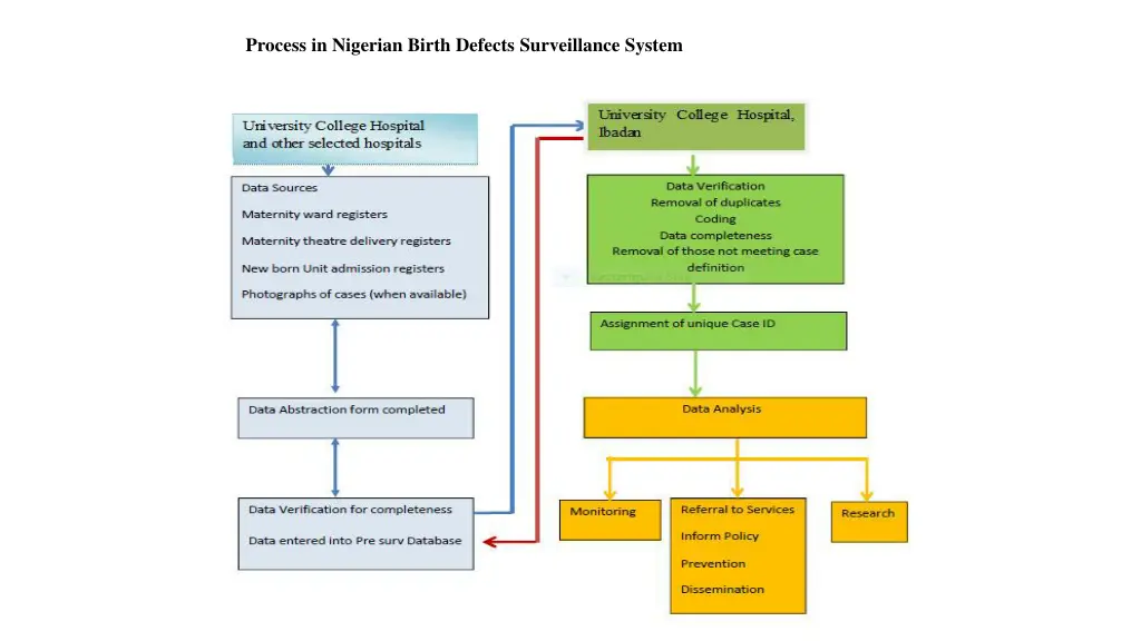 process in nigerian birth defects surveillance