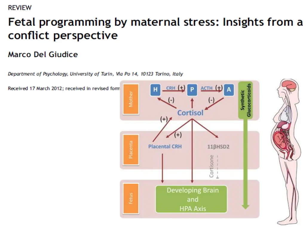 slide16