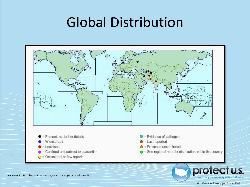 global distribution