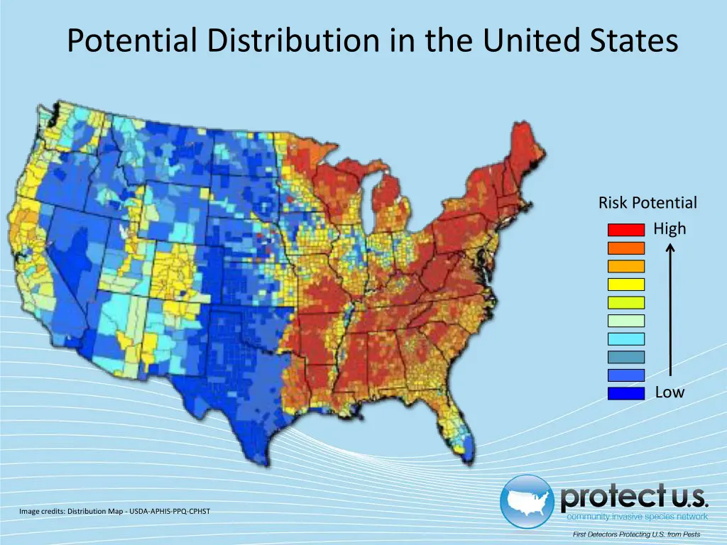 potential distribution in the united states