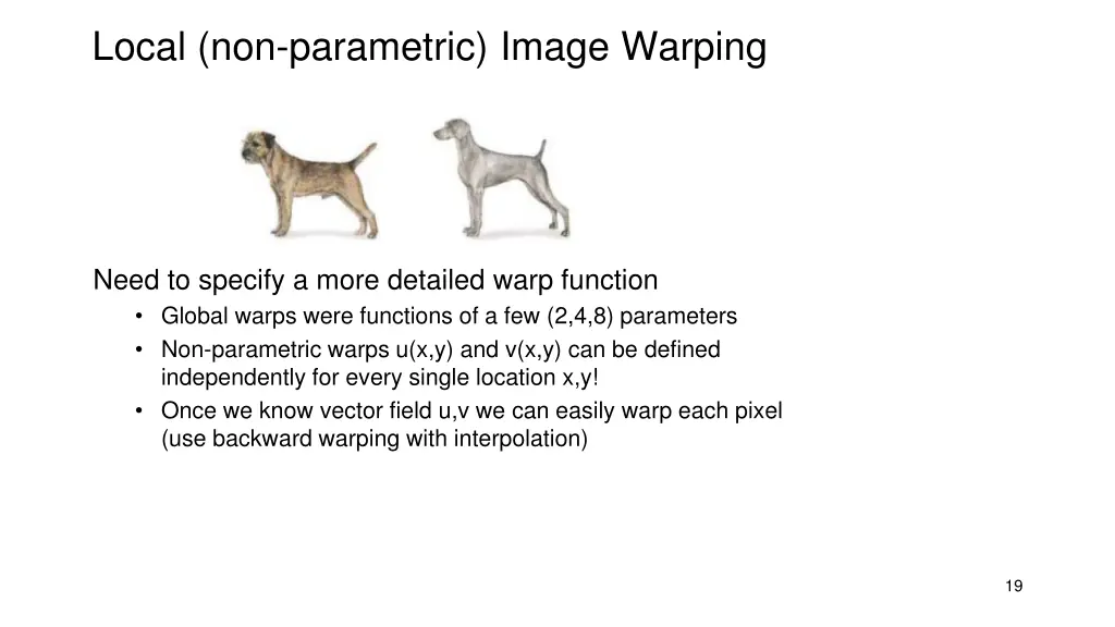 local non parametric image warping