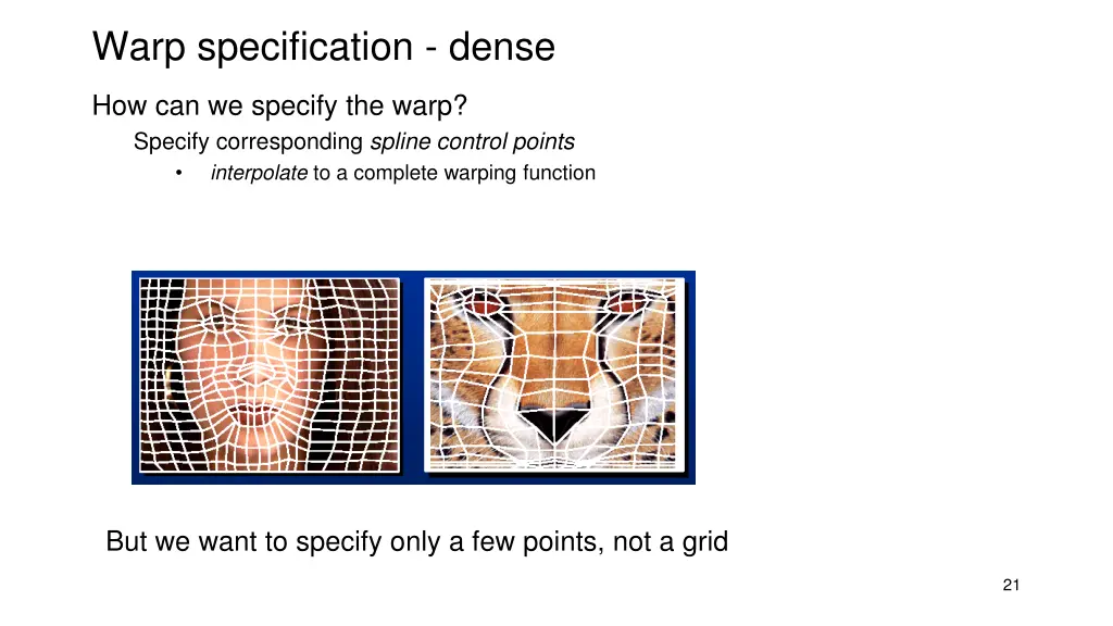 warp specification dense