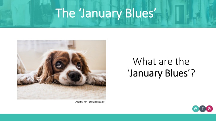 the january blues the january blues