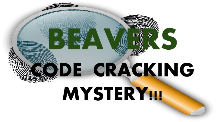 beavers code cracking mystery