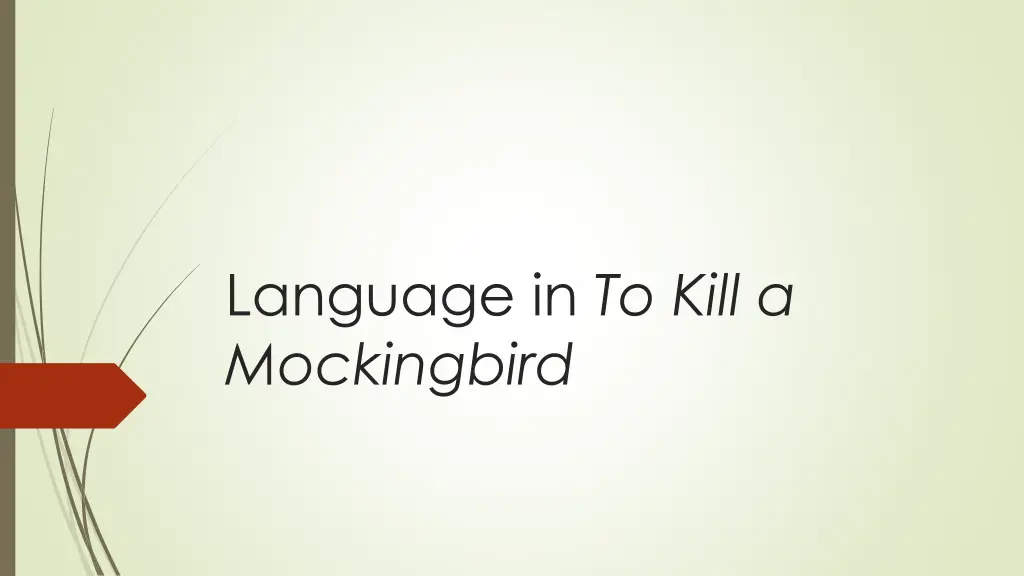 language in to kill a mockingbird