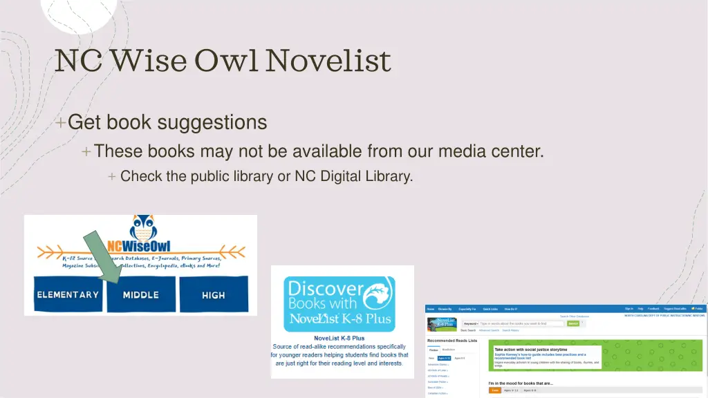 nc wise owl novelist