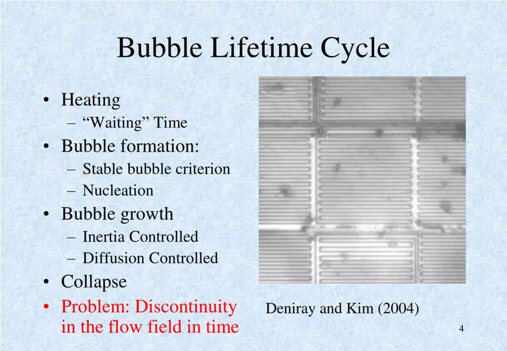 bubble lifetime cycle